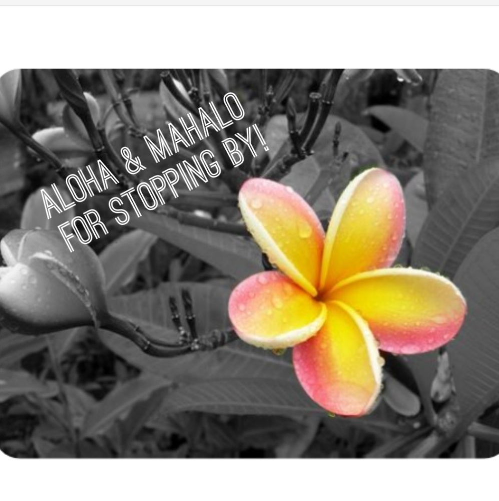 🍃🌺Hi, I'm Brenlykai🍃🌺